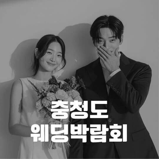 경상도 웨딩박람회
